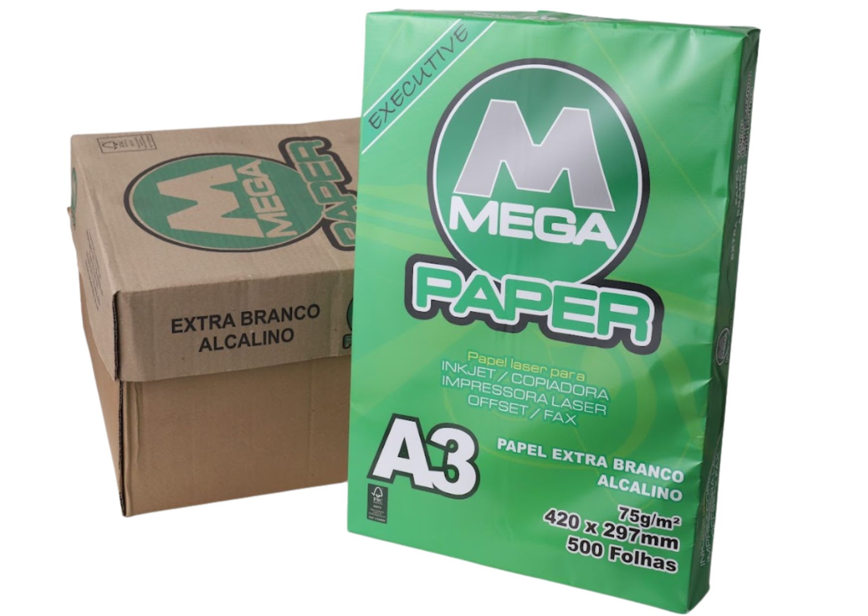 MEGA Paper A3